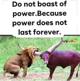 124382768 711783813059000 16288723652678