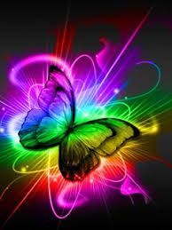 Multicoloured Butterfly