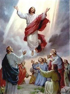 jesusking nlncbxcm