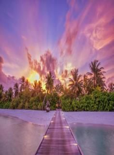 beauty of