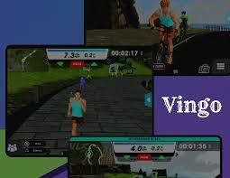 Vingo