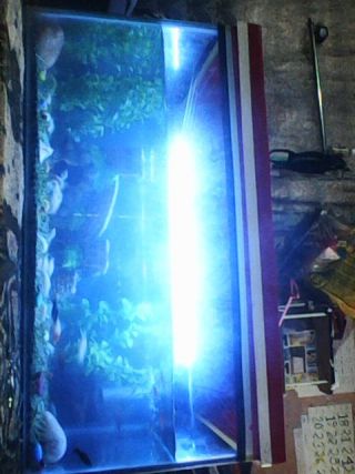 AQUARIUM