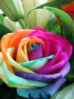 Rainbow wallpaper