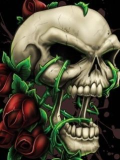 Skull ros
