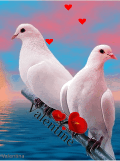 valentines jjmfmas4