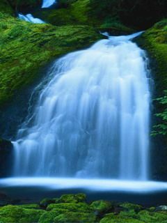 beautifulw nfz7hbzv