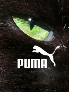puma eye 96492