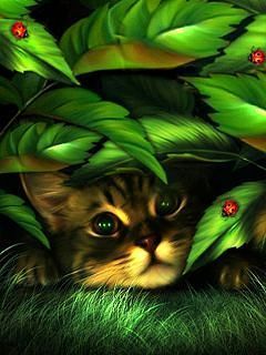 cat2 Q32bRq3s