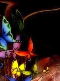 butterfly color