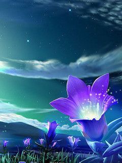 j flower