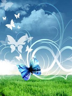 butterfly