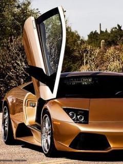 lamborghin xmv88p53