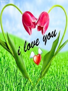 iloveyou NcLQ1Kk1