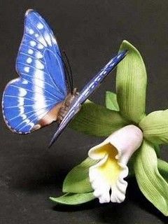 fly and flower