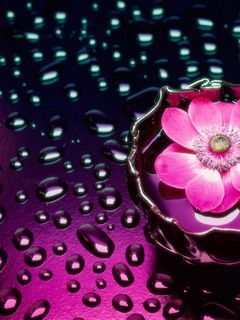 flower 26