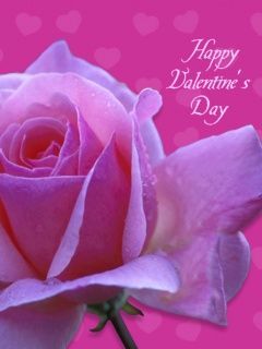 valentines day 67353