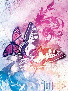 butterfly 249579