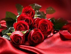 Love And Red Roses p156