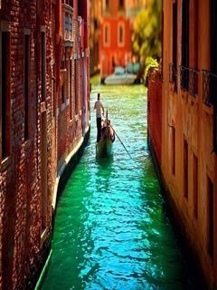 veniceital wvn3akpj