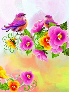 springbird i5YqSk99