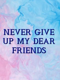 wp NEVER 