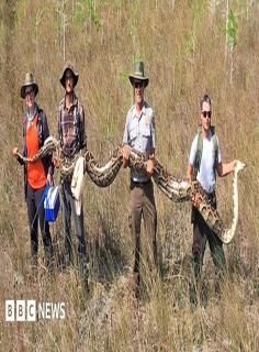 Big one