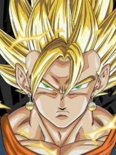 Gogeta (goku and vegeta combined) super saiyan 2