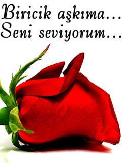 Trukish Rose