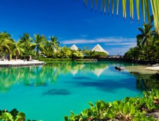 Tropical Paradise