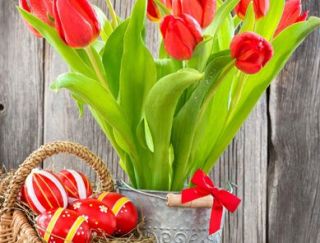 Easter Flower