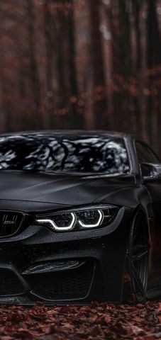 Car black