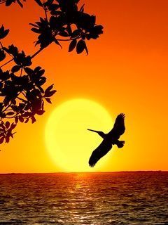 SUN RISE