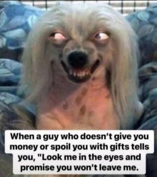 FB IMG 17