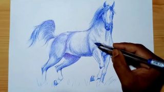 Horse