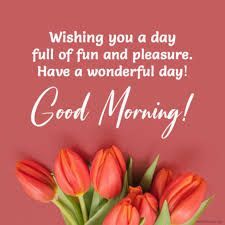 Morning