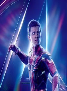  spider man avengers 