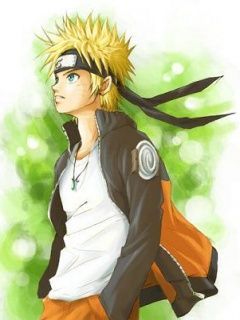 narutoship ifhcb13p