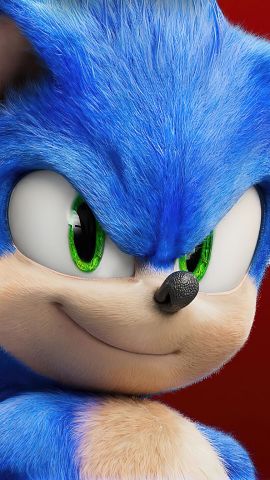 73499 sonic