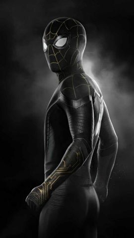 4651 spider man
