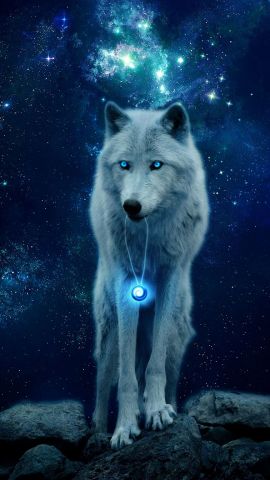 26753 wolf