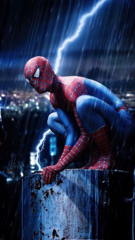 87700 spiderman