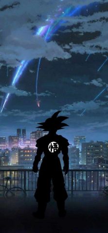 15766 goku