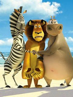 madagascar 253982