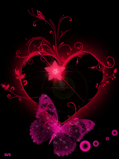 Love colour butterfly 