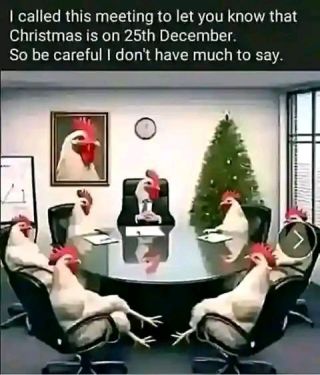 Chicken M