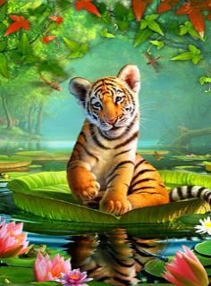 tiger