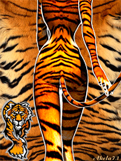 tigress