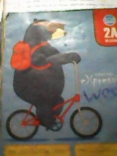 Bear