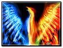 Bird fire & water