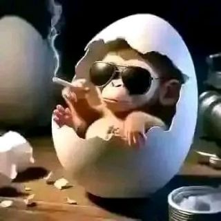 Funny bad baby